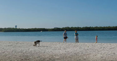 Dogs on Beach in Fort Myers Beach, Florida