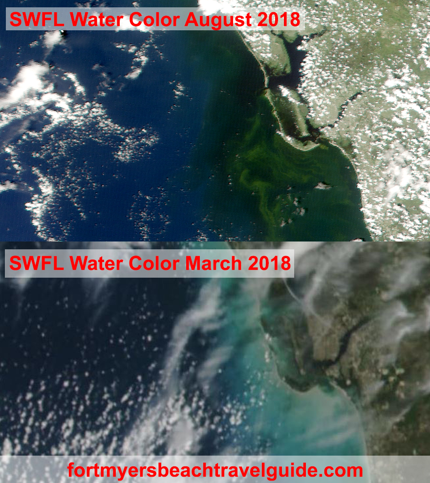 Fort Myers Beach Toxic Algae Bloom